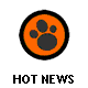 HOT NEWS