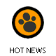 HOT NEWS