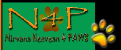 Nirvana Heaven 4 PAWS - CONTACT US