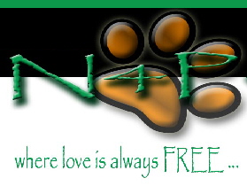 N4P - Nirvana Heavan 4 PAWS - click quick :) for your walking schedule