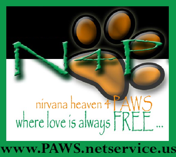Welcome to 'N4P' Nirvana dog walking 1,2,3 times per day - click to see our MENUE